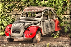 ferraille_debarras_lyon_ternay__lyon_2cv